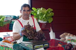 Asociados del Mercadillo del Agricultor, el Vino y la Artesanía de La Matanza de Acentejo