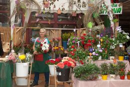 Asociados del Mercadillo del Agricultor, el Vino y la Artesanía de La Matanza de Acentejo