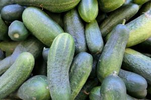 Pepino, Mercadillo de La Matanza de Acentejo.