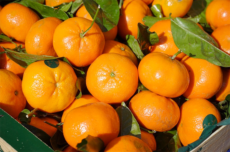 Mandarina, Mercadillo de La Matanza de Acentejo.