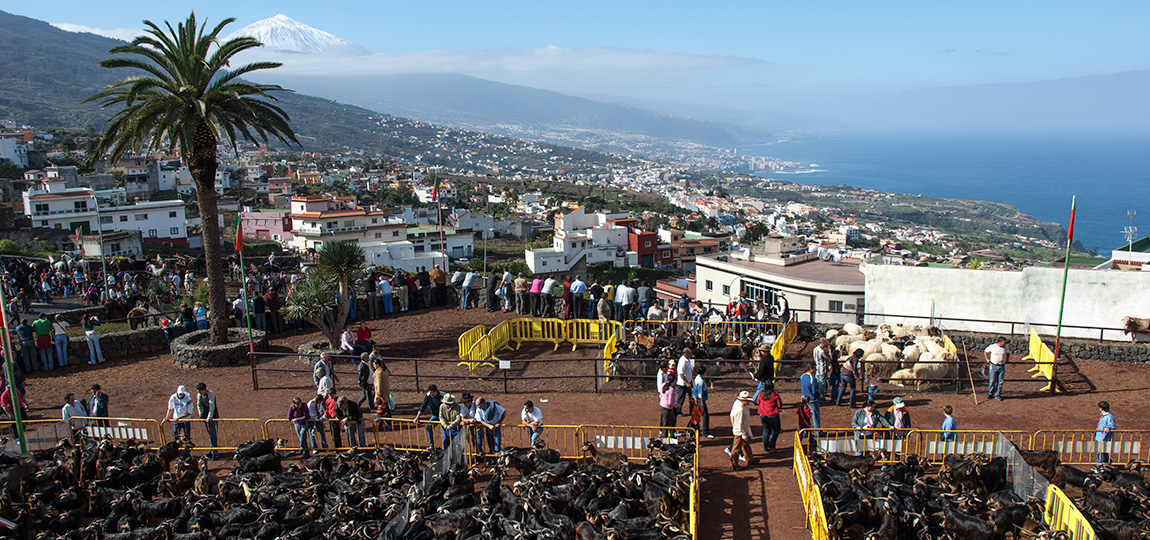 La Matanza de Acentejo, Tenerife