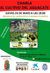 CHARLA CULTIVO DEL AGUACATE