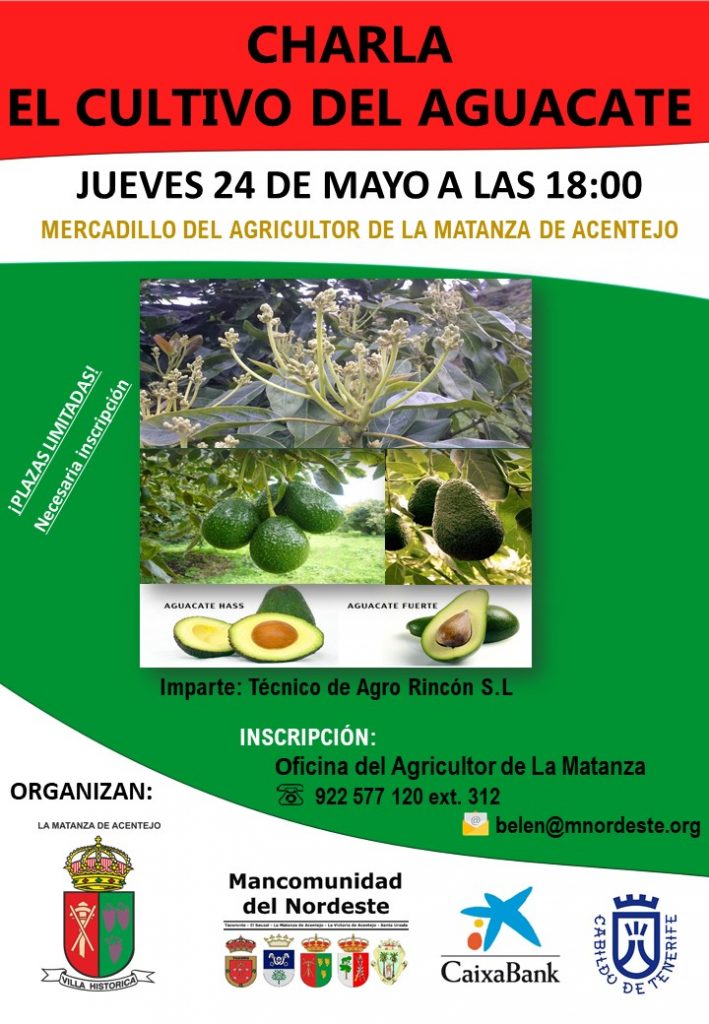 CHARLA EL CULTIVO DEL AGUACATE